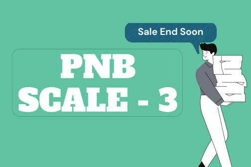 PNB Scale - 3
